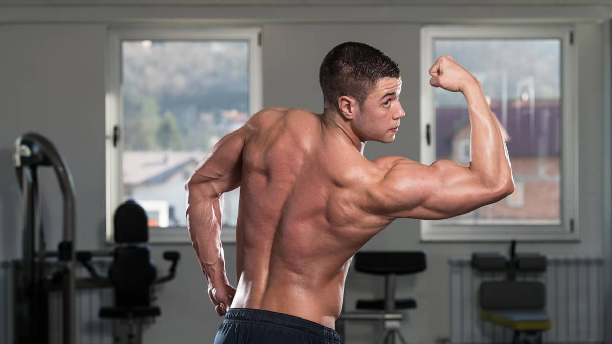 bicepsz edzés tippek